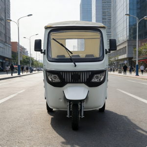 EEC COC Tows E <strong>Trike</strong> Passenger EEC Electric Passenger Tricycle TUKTUK Factory Direct <strong>Sale</strong> - Product Image 4