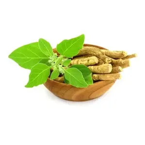 ผงทารากแอชวากันดา5% 2.5% สารสกัดจากธรรมชาติ Withania somnifera อินเดียสำหรับอาหารเพื่อสุขภาพ - Product Image 2