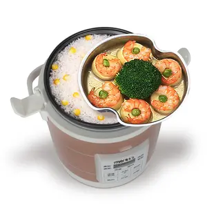 Sıcak satış 12V 24V, 1.6L kamyon elektrikli çorba lapası pişirme makinesi seyahat taşınabilir çorba tenceresi tencere araba Mini pirinç ocak/