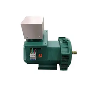 NIANFENG MARKE, 30kw 40kW 50kw 60kw 70kw power generator ohne diesel motor Kleinen generator