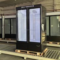 Réfrigérateur congélateur commercial à double porte R290 avec affichage en verre transparent et système de refroidissement par ventilateur