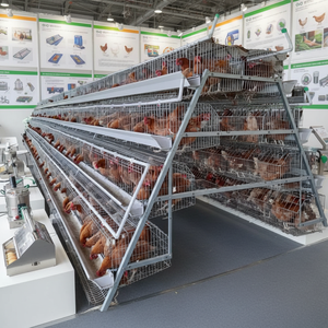 Cage à poules pondeuses à 4 niveaux, capacité 128, pour ferme avicole, type batterie - Product Image 4