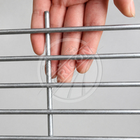 Nouvelle cage automatique à cailles à plusieurs niveaux en acier galvanisé avec mangeoire et abreuvoir pour élevage de cailles
