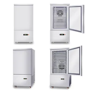 Hot Sale Kommerzielle Restaurant ausrüstung Fast Blast Chiller Shock Freezer Eis kompressor 10 Tabletts für Fisch fleisch Gemüse