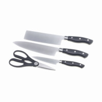 Hete Verkoop Fruit Vleesmessenset 4 Stuks Keukenmessenset