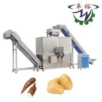 Grote Capaciteit Stoompeeling Hydro Snijden Bevroren Frietjes Machine Aardappelchips Productie En Verwerkingslijn