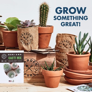 Kit di coltivazione fai da te all'ingrosso per la coltivazione di erbe regali di giardinaggio personalizzati Mini Kit da giardino al coperto <span class=keywords><strong>Cactus</strong></span> e piante succulente - Product Image 2
