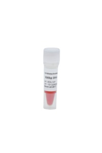 Échelle ADN 1 <span class=keywords><strong>Kb</strong></span> 100bp-10000bp - Product Image 4