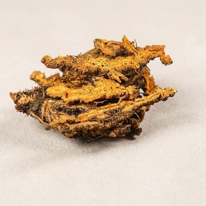 Rhizome sauvage chinois de qualité supérieure pour la préparation de formules de médecine traditionnelle chinoise et la production de remèdes naturels à base de plantes - Product Image 2