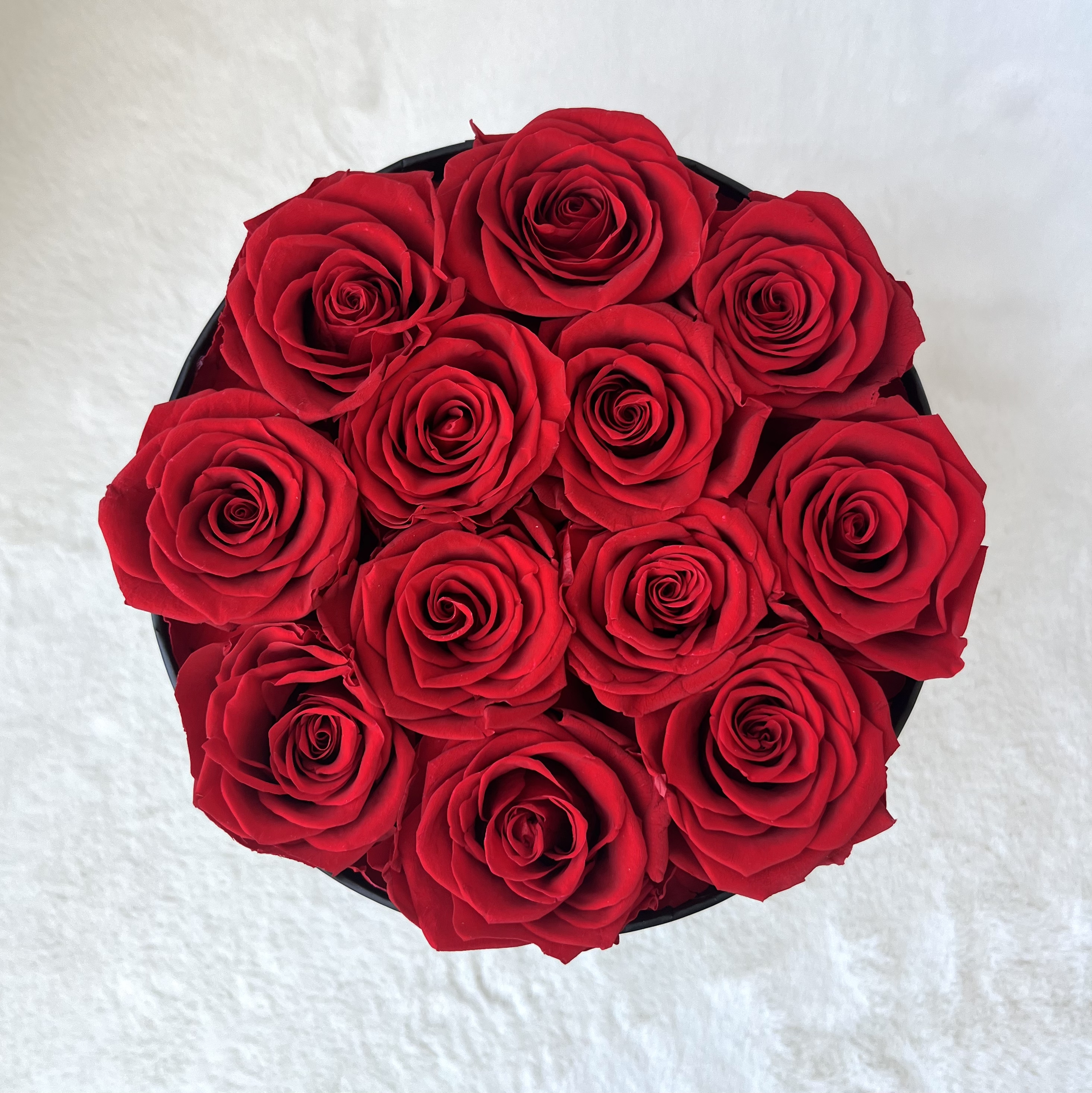 Rosse 12 Rose Rotonde