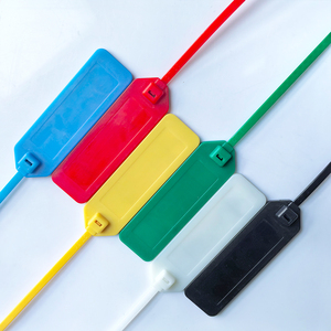 แท็ก RFID แบบซิปไท ปรับแต่งได้ ความถี่ 125kHz และ 13.56MHz วัสดุ ABS สำหรับติดตั้งบนตู้คอนเทนเนอร์ ใช้สำหรับการจัดการทรัพย์สินโลจิสติกส์รถบรรทุก ชิป T5577 รองรับ NFC UHF เพื่อความปลอดภัย - Product Image 1