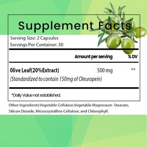 แคปซูลสารสกัดจากใบมะกอก OEM ODM ช่วยเสริมสร้างระบบภูมิคุ้มกัน สนับสนุนการเผาผลาญ ต้านอนุมูลอิสระ เหมาะสำหรับผู้ทานมังสวิรัติ ปราศจาก GMO และกลูเตน - Product Image 2