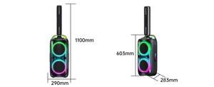 Caja de Subwoofer de 8 Pulgadas Amplificada con Luces LED de Colores Intermitentes, Altavoz de Plástico Profesional Tipo <span class=keywords><strong>Boombox</strong></span> 3 - Product Image 4