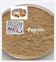 Fabricant d'enzyme pepsine de haute qualité en provenance de Chine