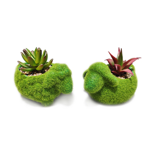 Vert décor maison flocage <span class=keywords><strong>en</strong></span> <span class=keywords><strong>terre</strong></span> cuite <span class=keywords><strong>en</strong></span> forme <span class=keywords><strong>de</strong></span> mouton <span class=keywords><strong>petit</strong></span> animal plante succulente <span class=keywords><strong>pot</strong></span> <span class=keywords><strong>de</strong></span> <span class=keywords><strong>fleur</strong></span> - Product Image 1
