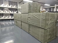 Microscopio Metalúrgico Portátil Original FXD-30MW para Pruebas, Uso en Laboratorio y Fábrica, Origen China, 1 Año de Garantía