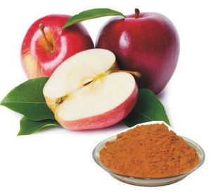 Poudre d'extrait de pomme <span class=keywords><strong>brun</strong></span> naturel de qualité alimentaire chinoise Integreen, pureté 98%, poudre de vinaigre de <span class=keywords><strong>cidre</strong></span> de pomme - Product Image 3