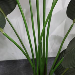 Premium Feeling Simulation Luxury Green Artificial Plastic Traveler Banana para la decoración de la sala de estar - Product Image 4