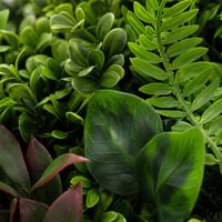 Plantes artificielles de lierre mural, feuillage suspendu, rouleaux de lierre artificiel, clôture de jardin pour l'intimité, mur végétal pour décoration extérieure