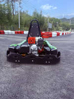 EGS 160cc para Motor de 4 Tiempos, Go Kart con Pedales para Exteriores, con Gasolina, Velocidad Máxima de 40 km/h, Capacidad de Carga de 200 kg para Adultos y Niños