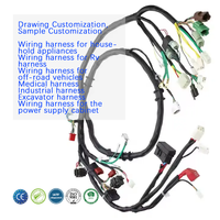 Fabricant OEM de faisceaux de câblage automobile sur mesure, assemblage de câbles électriques étanches pour moteur de véhicule, véhicule électrique, camping-car, moto