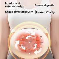 Appareil de massage chauffant portable sans fil Zhipin en pierre de Bian pour la taille et l'abdomen, avec contrôle de la minuterie, pour la digestion et le soulagement de la douleur