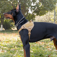 Harnais tactique anti-traction personnalisé pour chien avec sangles réglables pour le cou et le ventre, poignée dorsale et panneaux en sangle pour la promenade en extérieur