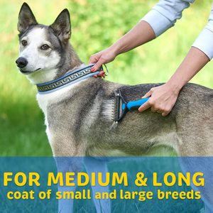 Set di Spazzole per Cani e <span class=keywords><strong>Gatti</strong></span>, <span class=keywords><strong>Pettine</strong></span> in Acciaio per Toelettatura Animali Domestici - Product Image 4