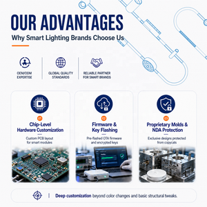 Kit de projecteurs LED sur <span class=keywords><strong>rail</strong></span> 24V <span class=keywords><strong>pour</strong></span> système de <span class=keywords><strong>plafond</strong></span>, série de tubes ronds, <span class=keywords><strong>pour</strong></span> éclairage de <span class=keywords><strong>plafond</strong></span> de magasin - Product Image 6