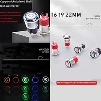 Interrupteur à bouton-poussoir métallique économique 16 mm plat 10A IP67 étanche avec LED, alimentation 3-6V 12-24V, rouge/bleu/vert, combinaison 1NO1NC