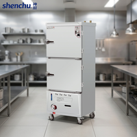 Cuiseur à riz professionnel à gaz, type split, chambres indépendantes sans mélange de saveurs, armoire de cuisson vapeur en acier inoxydable pour GPL et gaz naturel
