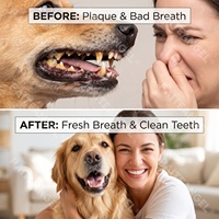 Dentifrice enzymatique en gros pour animaux de compagnie, éliminateur de tartre pour chiens, soin buccal, rafraîchisseur d'haleine, contrôle de la plaque dentaire, marque privée