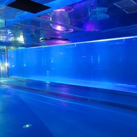 Leyu Direktvertrieb Umweltfreundliches Zylindrisches Acryl-Aquarium Maßgefertigte Größe Professionell