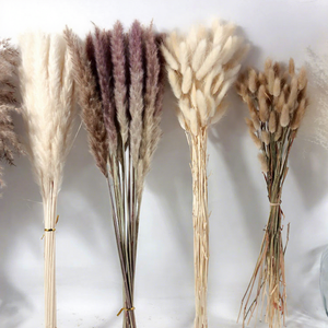 H070 — fabrication professionnelle chinoise décoration de mariage, graines séchées, fleurs séchées, queues de lapin, pampa - Product Image 1