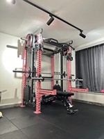 REYK REYK39 Machine à câbles en acier – Équipement de musculation multifonction Smith Front pour l'entraînement des biceps et des triceps, pile de poids de 75 kg, universelle