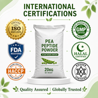 Poudre de Peptide de Pois 100% Naturelle de Qualité Alimentaire, Protéine Hydrolysée à Haute Absorption pour Barres Nutritionnelles et Améliorateurs de Nutrition Santé