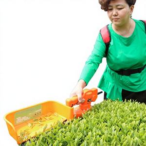 <span class=keywords><strong>Taille</strong></span>-haie électrique sans balais HDPE pour la cueillette du thé, portable, mini-tondeuse rechargeable - Product Image 1