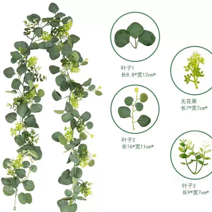 Vigne épineuse d'eucalyptus