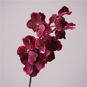 BF-OD11 Fleurs d'orchidées artificielles Phalaenopsis <span class=keywords><strong>Vanda</strong></span> <span class=keywords><strong>bleu</strong></span>-violet à 7 têtes, toucher réel, tige unique, vente en gros - Product Image 5