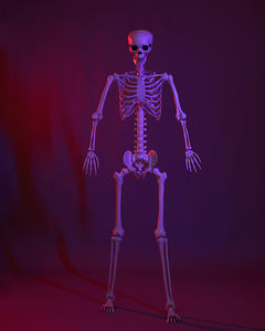 Индивидуальные оптовые декорации для Хэллоуина: реалистичный анимированный скелет в натуральную величину для дома с привидениями - Product Image 4