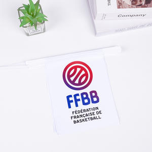 Недорогие прочные водонепроницаемые праздничные флажки-гирлянды, разноцветные флаги-пенанты с возможностью нанесения логотипа и выбора размера - Product Image 3