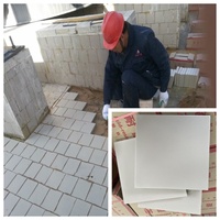Mini carreau mural résistant aux acides 150x150x20mm Modèle ZG-15020 Anti-corrosion pour revêtement d'équipement chimique