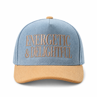 Gorra de Béisbol Vintage de 5 Paneles con Diseño de Dos Tonos, Corona Alta y Estructurada, Logotipo Bordado Personalizado