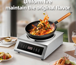 Cuisinière à induction en acier inoxydable 3500W, commande tactile par capteur, usage commercial, service OEM/ODM, économie d'énergie AM-CD108W en acier inoxydable - Product Image 3