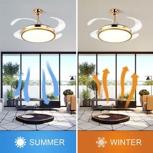 Ventiladores De Techo Con Lampara Ventilador De Techo Led Retráctil Invisible De 42 Pulgadas Con Luz Y Control Remoto - Product Image 5