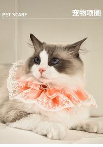 نمط حلو الحيوانات الأليفة الدانتيل سال لعابه منشفة القط القوس الكلب وشاح الصوف البوليستر للجميع بما في ذلك هالوين الشتاء الربيع زينة الحيوانات الأليفة - Product Image 5