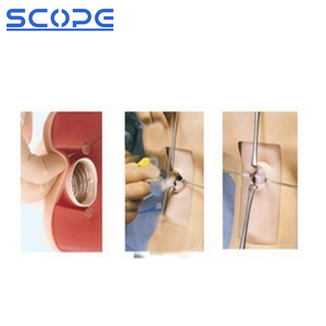 โมเดลทางการแพทย์ SC-J58หลอดลมง่ายหุ่นจำลองการฝึกทักษะฉุกเฉิน - Product Image 4