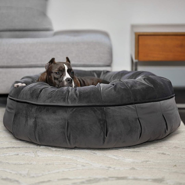 Calming Bed
