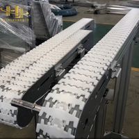 Trasportatore a Catena con Telaio in SUS304 e Listelli in Plastica, ad Alta Efficienza e Igienico, Pronto per il Lavaggio, per Linee di Imbottigliamento di Latte e Yogurt