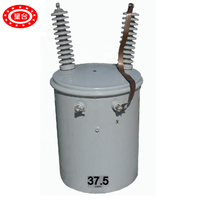 Transformateur monophasé 25Kva 37.5Kva 50Kva 75Kva 100Kva 167Kva 13.8kv monté sur poteau, sortie 480V, type huile, enroulement en cuivre